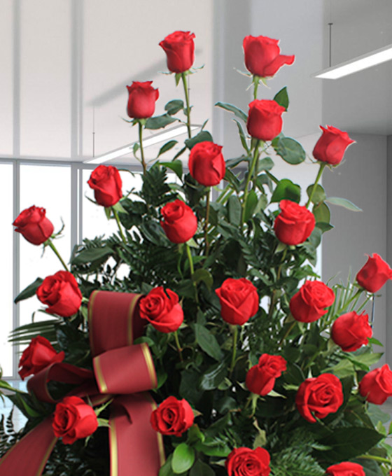 Rosas rojas para difuntos de Badalona