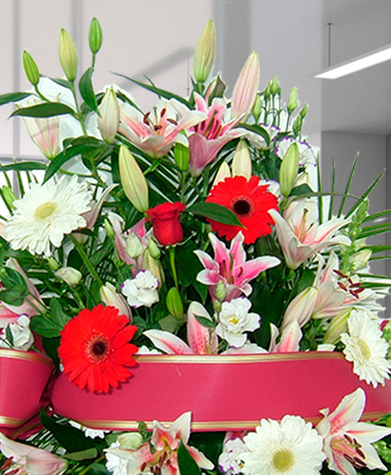 Alternative view of Centro Funerario Especial