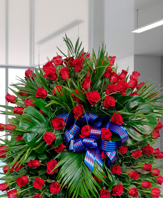 Rosas rojas de condolencias para tanatorio