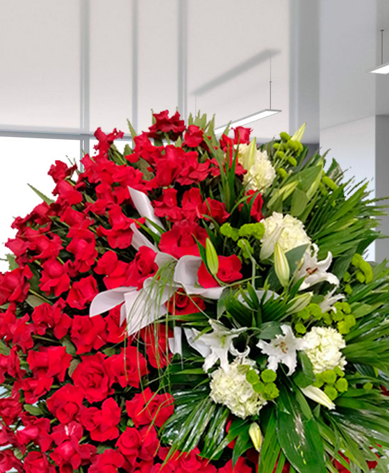 Rosas rojas para difuntos