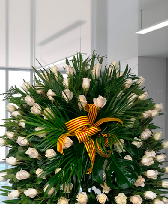 Rosas blancas de condolencias